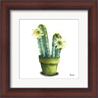 Framed Cactus Flowers II