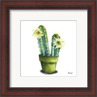 Framed 'Cactus Flowers II' border=