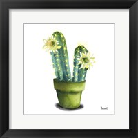 Framed 'Cactus Flowers II' border=