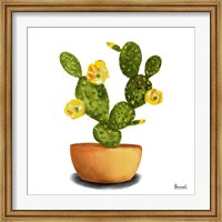 Framed Cactus Flowers III