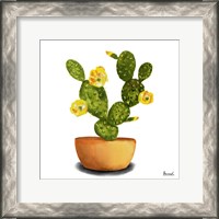 Framed Cactus Flowers III