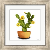 Framed Cactus Flowers III