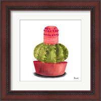 Framed Cactus Flowers IV