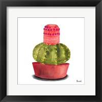 Framed Cactus Flowers IV