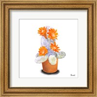 Framed Cactus Flowers VI