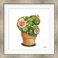 Framed Cactus Flowers VII