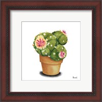 Framed 'Cactus Flowers VII' border=