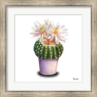 Framed Cactus Flowers IX