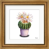 Framed 'Cactus Flowers IX' border=