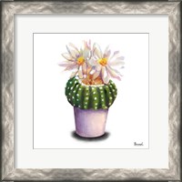 Framed Cactus Flowers IX