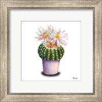 Framed 'Cactus Flowers IX' border=