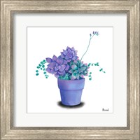 Framed Turquoise Succulents II