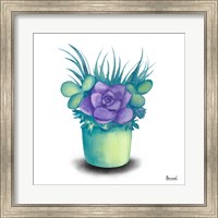 Framed Turquoise Succulents III