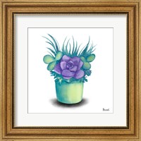 Framed 'Turquoise Succulents III' border=
