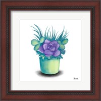 Framed Turquoise Succulents III