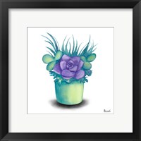 Framed 'Turquoise Succulents III' border=