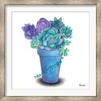 Framed Turquoise Succulents IV
