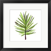 Framed 'Leaves of the Tropics III' border=