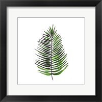 Framed 'Leaves of the Tropics IV' border=