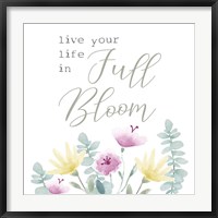 Framed Full Bloom I