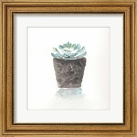 Framed Watercolor Cactus Still Life I