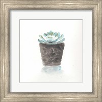 Framed Watercolor Cactus Still Life I