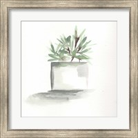 Framed Watercolor Cactus Still Life IV