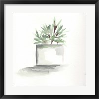 Framed Watercolor Cactus Still Life IV