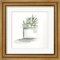 Framed 'Watercolor Cactus Still Life IV' border=