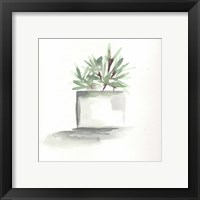 Framed 'Watercolor Cactus Still Life IV' border=