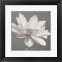 Framed 'Vintage Lotus on Grey I' border=