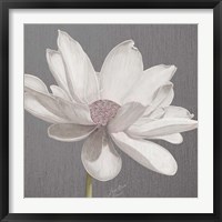 Framed 'Vintage Lotus on Grey I' border=
