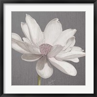 Framed Vintage Lotus on Grey I