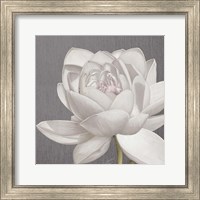 Framed 'Vintage Lotus on Grey II' border=