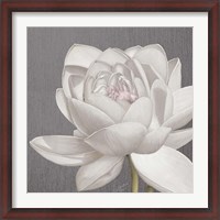 Framed Vintage Lotus on Grey II