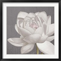 Framed 'Vintage Lotus on Grey II' border=