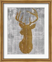 Framed Rustic Lodge Animals Deer Head on Grey