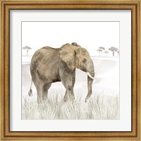 Framed Serengeti Elephant Square