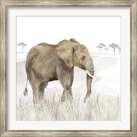 Framed Serengeti Elephant Square