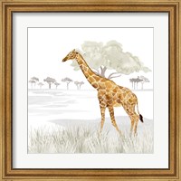 Framed Serengeti Giraffe Square
