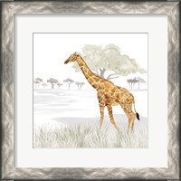 Framed 'Serengeti Giraffe Square' border=