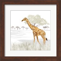 Framed Serengeti Giraffe Square
