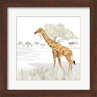 Framed 'Serengeti Giraffe Square' border=