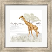 Framed Serengeti Giraffe Square