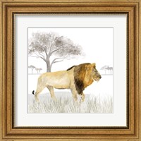 Framed 'Serengeti Lion Square' border=