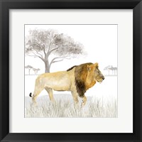 Framed Serengeti Lion Square