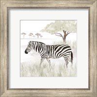 Framed 'Serengeti Zebra Square' border=