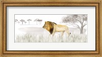 Framed Serengeti Lion horizontal panel