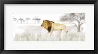 Framed Serengeti Lion horizontal panel