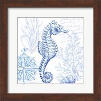 Framed Coastal Sketchbook Sea Horse